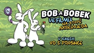 Bob a Bobek ve filmu: Na stopě mrkvojeda